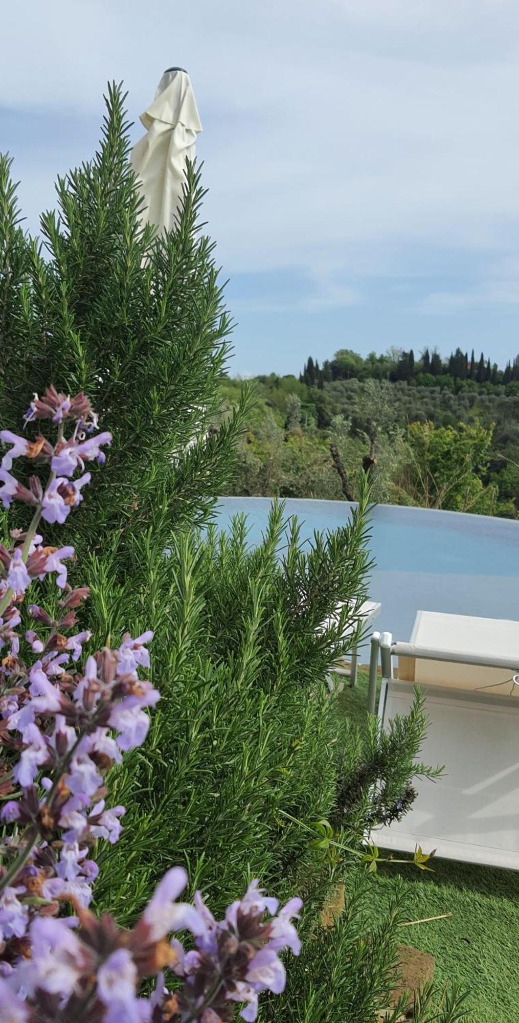 Villa In Campagna Costa Al Bagno Montopoli in Val dʼArno Εξωτερικό φωτογραφία