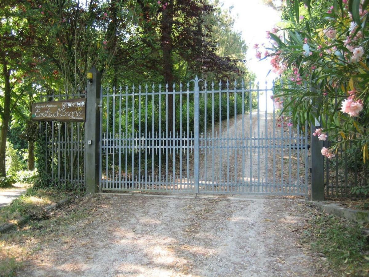 Villa In Campagna Costa Al Bagno Montopoli in Val dʼArno Εξωτερικό φωτογραφία