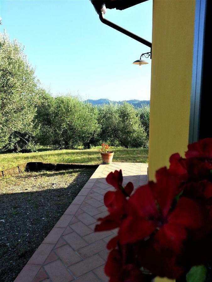 Villa In Campagna Costa Al Bagno Montopoli in Val dʼArno Εξωτερικό φωτογραφία